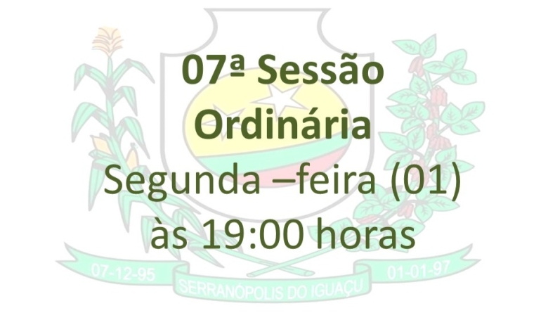 7ª Reunião Ordinária