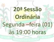 20ª Reunião Ordinária