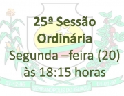 25ª Reunião Ordinária