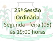 25ª Reunião Ordinária